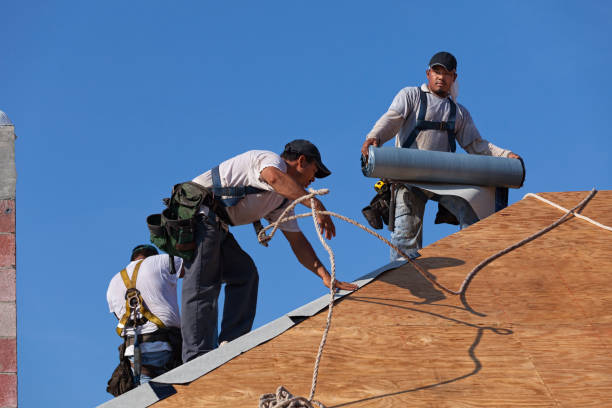 Quick and Trustworthy Emergency Roof Repair Services in Delft Colony, CA