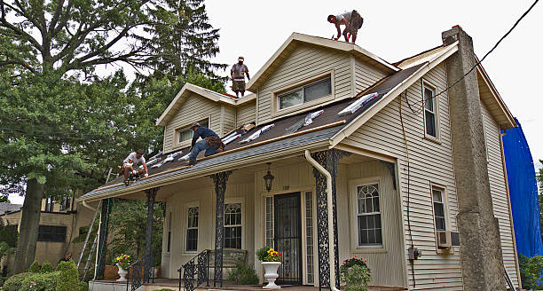 Best Storm Damage Roof Repair  in Delft Colony, CA